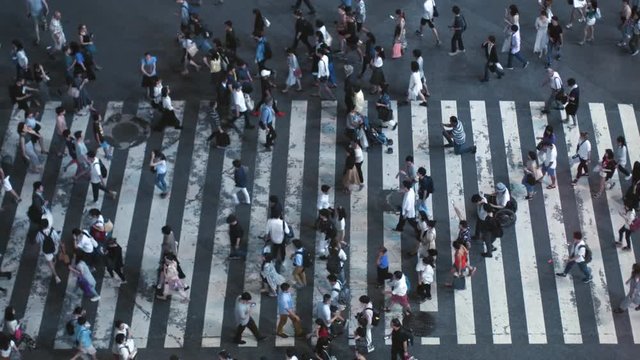 Elevated High Angle / Top Down Shot of the People Walking on Pedestrian Crossing of the Road. Big City with Crowd of People on the Crosswalk in the Evening. 