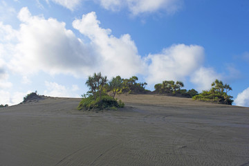 volcanic sand heading towards the sky.