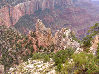 View at Cape Royal on the North Rim of Grand Canyon