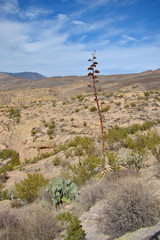 View of Salt River Canyon on Apache Trail in Arizona