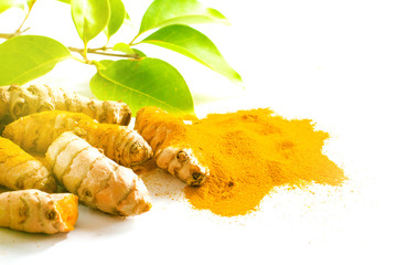 Turmeric roots and powder isolated on white