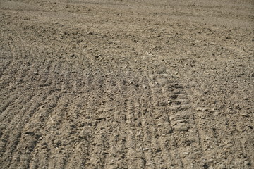 Die extreme Hitze in Deutschland führt in der Landwirtschaft zu enormen Einbußen in der Ernte von Getreide und Mais
