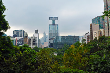 The big city beyond the trees.