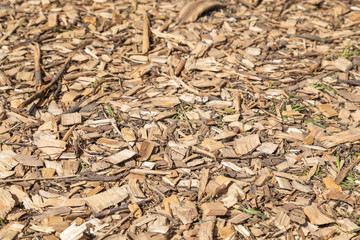 Fresh wood spill is filled evenly on a floor. A background for design. Horizontal shot