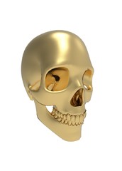 3d illustration of human skull