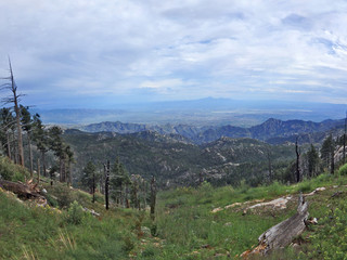 View of Tucson on Mount Lemmon