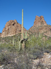 Volcanic Cones on Dutchmans Trail in the Superstitions