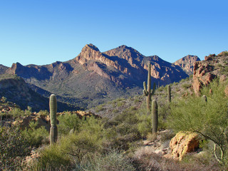 View on Garden Valley Trail in Superstition Wilderness
