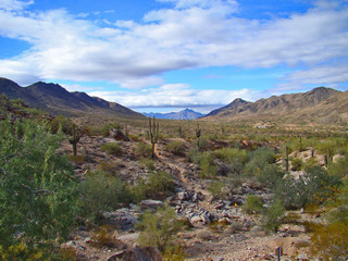 View on Kiwanis Trail in South Mountain Park in Phoenix