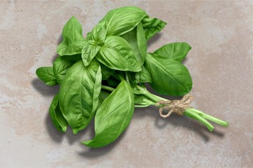 Green basil leaves on wooden background