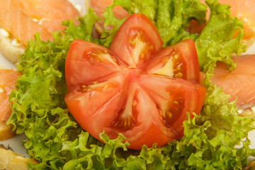 Dish of sandwiches with red fish tomato and greens.