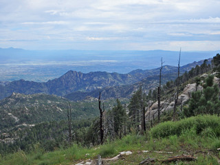 Scenic View on Mount Lemmon in Tucson