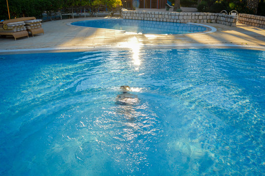 Defocused blurry underwater swimmer, recreational relax in swimming pool sunny outdoors background. Unfocused blurred person having fun on vacation holiday.