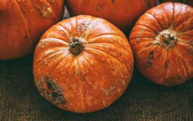 Autumn harvest. Pumpkins on a canvas background. Selective focus. Vintage close up photo.