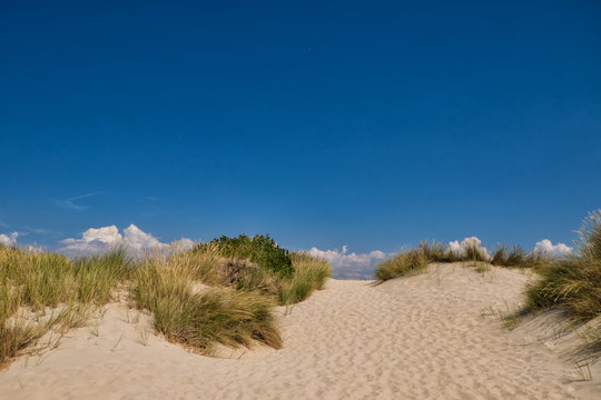 Dunes at the beach in Le Touquet-Paris-Plage