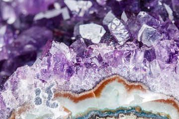 Amethyst Crystal Druse  macro mineral on white background