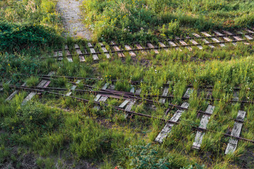 Obraz premium Eisenbahn Schienen im Gras