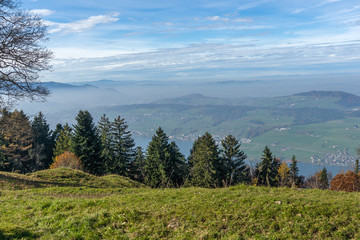 Fototapeta na wymiar Green meadows above Lake Lucerne, near mount Rigi, Alps, Switzerland