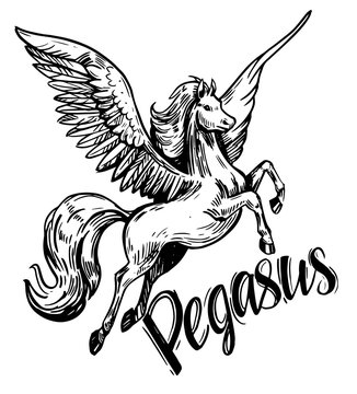 Sketch of Pegasus. Hand drawn illustration converted to vector