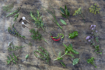 Various Aromatic herbs and spices from garden, healthy cooking from above on ols wooden plank