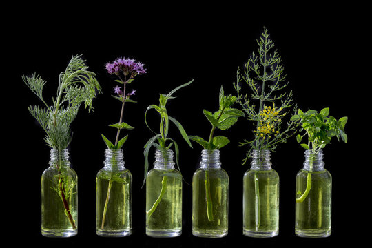 Different healing flowers in small glass bottles of essential oilon black background
