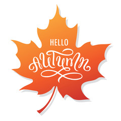 Hello autumn lettering on a maple leaf.
