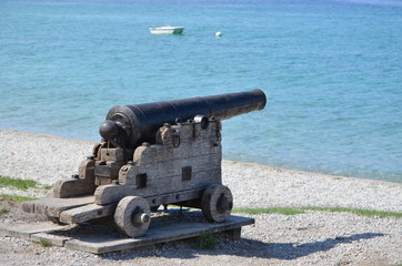 cannon