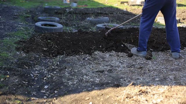 the farmer makes beds for planting organic and environmentally friendly vegetables. Work in the garden