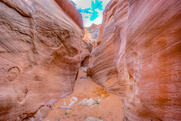 Amazing views all around Utah! 