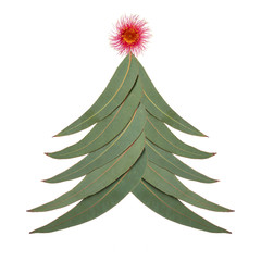 An Aussie Christmas tree made up of Australian gum tree leaves with a large red gum nut blossom © Randal