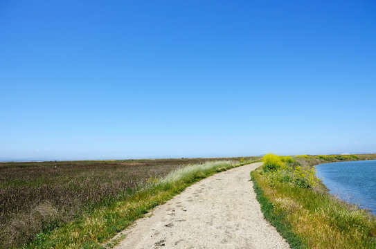 Alviso