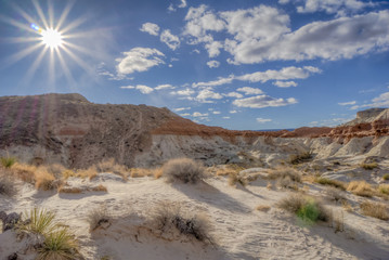 Beautiful Utah Desert 