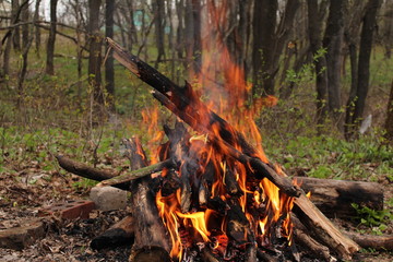 Logs of wood, burn bright red fire.  Flame of fire.
