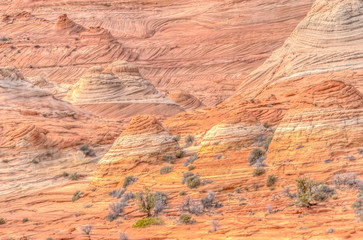 The Wave in Arizona. A magical place to visit!