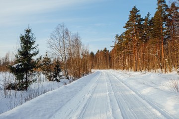Obraz premium winter forest road at sunny day in Finland