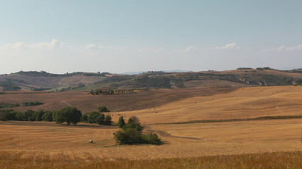 Obraz premium Vast Fields of Tuscany, Italy