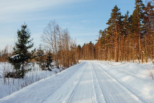 winter forest road at sunny day in Finland