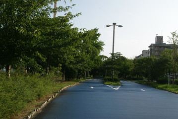 自転車専用道路