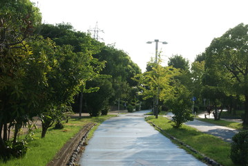 自転車専用道路