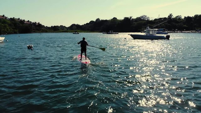 Paddle Boarding in the Bay