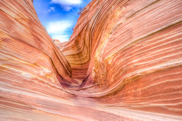 The Wave in Arizona. A magical place to visit!