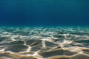Sandy bottom, fish swimming underwater