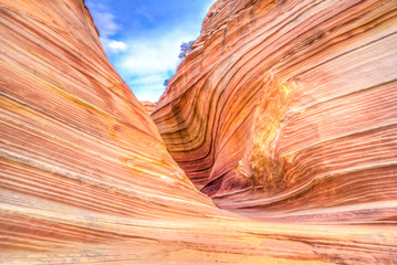 The Wave in Arizona. A magical place to visit!