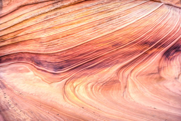 Obraz premium The Wave in Arizona. A magical place to visit!
