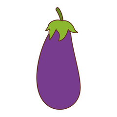 Eggplant fresh vegetable vector illustration graphic design