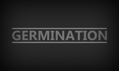 Fototapeta premium Germination
