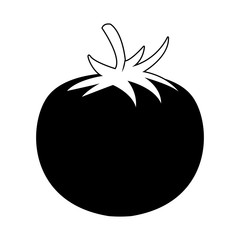 Tomato fresh vegetable vector illustration graphic design