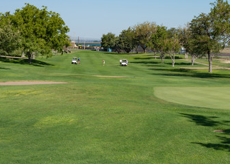Fototapeta premium Golf Green and Golfers