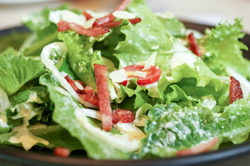 Vegetable salad with ham ham bacon and mozzarella.