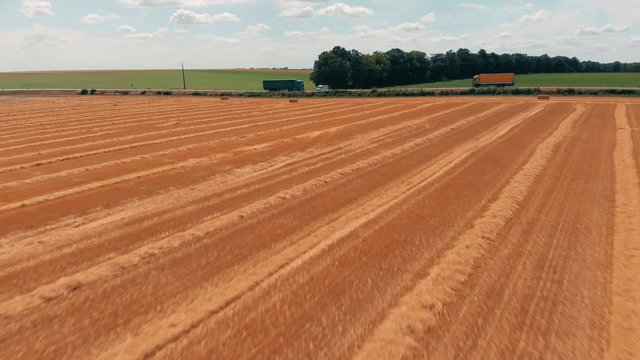 Aerial view of crop wheat or rye field with stook hay straw bales and road. Harvest agriculture farm rural aerial 4k video